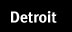 detroit portfolio link