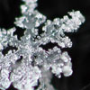 snowflake