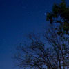 starlit night sky